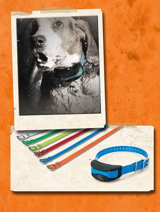 Collar Receiver & Replacement Collar Straps COLLAR STRAPS (AVAILABLE COLORS) HOUNDHUNTER OTHER COMPATIBLE COLLARS INCLUDE: SDR-A & SDR-AW ADD-A-DOG SDR::AH ADD-A-DOG NOTE: SDR-FS, SDR-FH, SDR,
