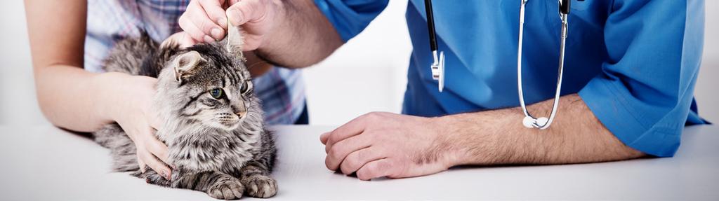 3 Veterinary Pharmacy Revenue Loss Coping Strategies As part of the 2015 Pet Pharmaceutical Market Study, veterinarians were asked their view on the portable pet prescription debate.