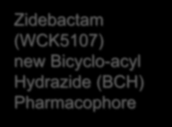 Cefepime Zidebactam (WCK 5222) Zidebactam (WCK5107) new Bicyclo-acyl Hydrazide (BCH) Pharmacophore FEP: Cefepime; ZID: Zidebactam; WCK 5222 is a combination of Cefepime (FEP)