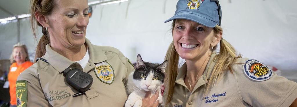 2015 BEST FRIENDS NATIONAL CONFERENCE PLAYBOOK: ATLANTA, GEORGIA Field services In Fulton County, LifeLine is responsible for animal control field services as well as shelter operations.
