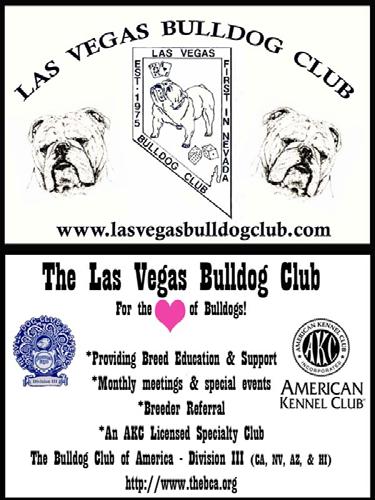 Las Vegas Bulldog CLUB DECEMBER