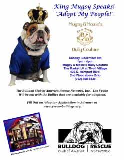We have been invited by "Mugsy & Moxie's Bully Couture" to an event to raise public awareness about The Bulldog Club of America Rescue Network, which will take place on December 8th, 1:00 to 4:00, at