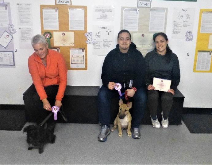 Kennel Club Good Citizens Awards since the last