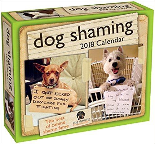 Dog Shaming