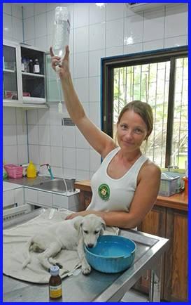 Jay and Linda especially would like to thank Anna from Germany for her tireless commitment during her Samui time!