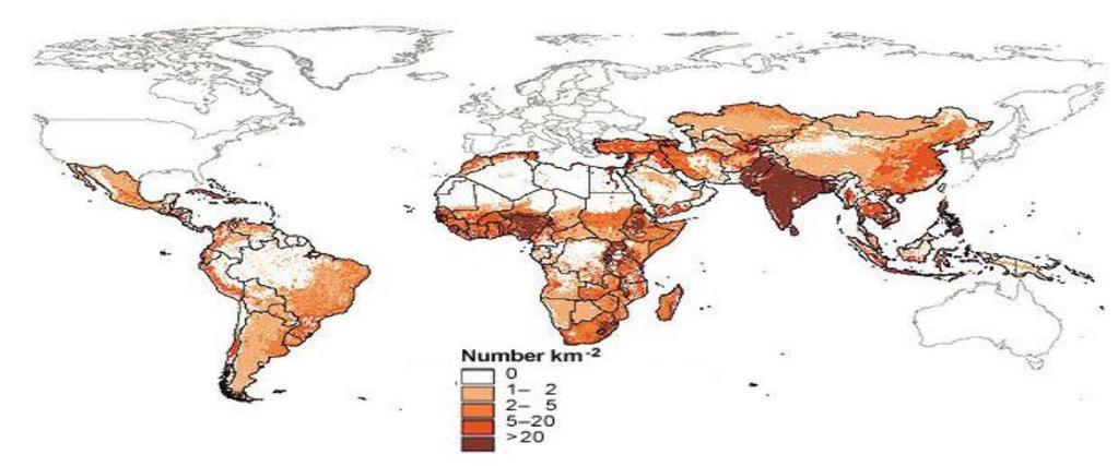 Global Context Density of poor