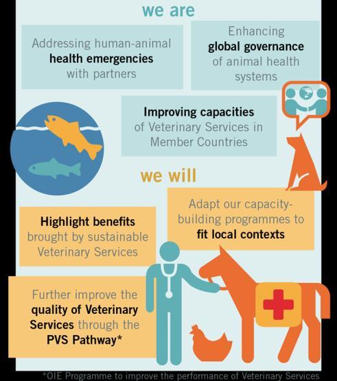 3 strategic objectives 3 Supporting and strengthening Veterinary Services at the front lines of