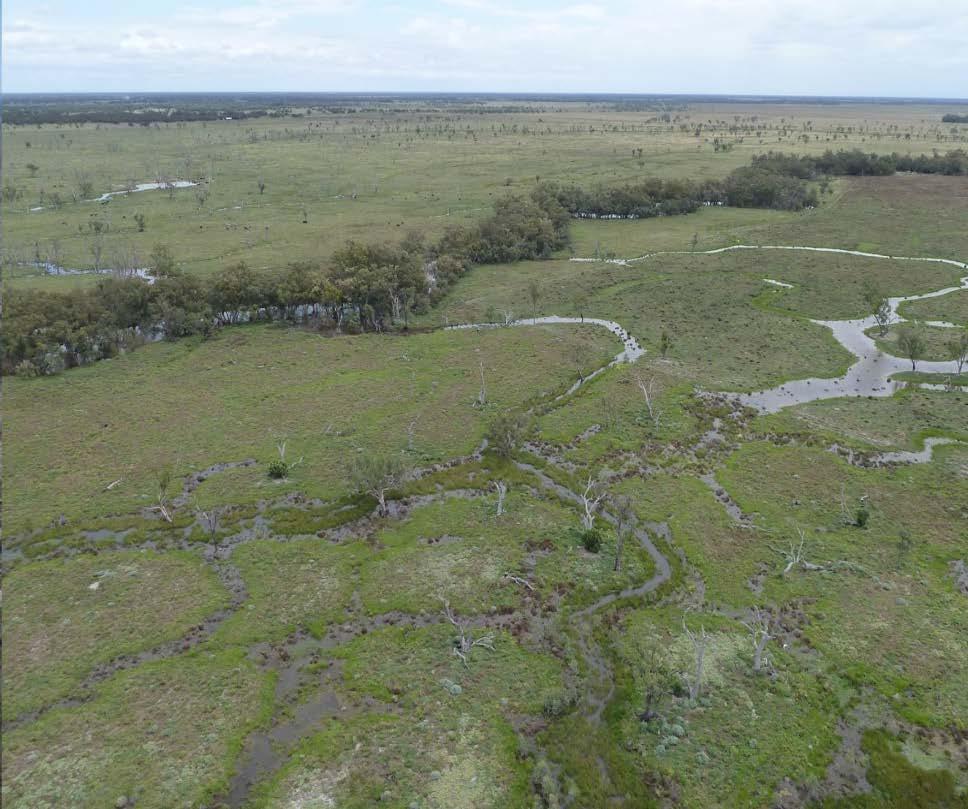 Example: Macquarie Marshes Hydrological variability