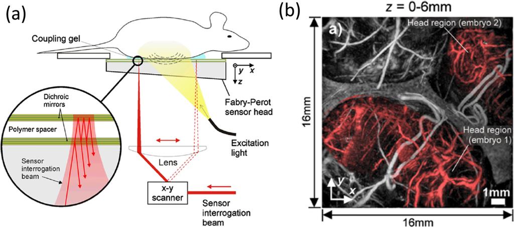 Xia et al. Page 23 Figure 2. (a) Schematic illustrating the operation of the Fabry-Perot interferometer-based PACT imaging system.