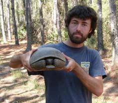 repatriation of tortoises to restored habitat at Plant Vogtle, Burke County.