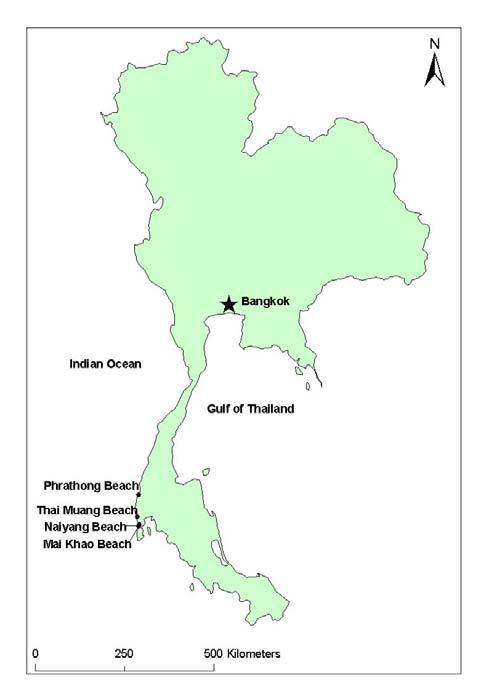 Figure 1. Locations of leatherback turtle nesting sites in Thailand 4. References Phasuk B (1992) Biology of sea turtles in Thailand. Thai Fisheries gazette 45, 603-650.