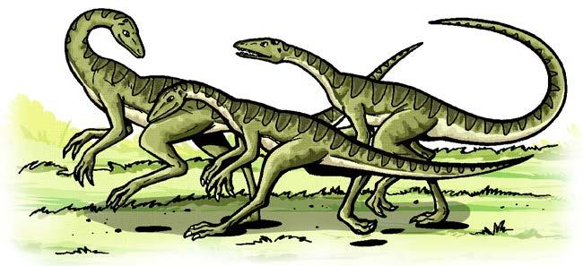 Dinosaur Basics Compsognathus Dinosaurs were a special kind of reptile that no longer exists. Dinosaurs stood up off the ground, while other reptiles crawled.