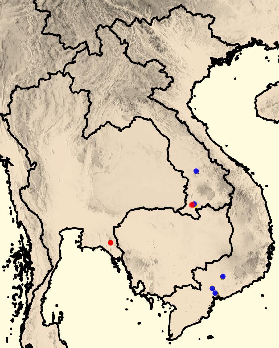 Cota et al. - First Record of Lygosoma angeli in Thailand 131 Figure 5. Map of all known Lygosoma angeli localities taken from Geissler et al. (2011) (in blue) and this study (in red).
