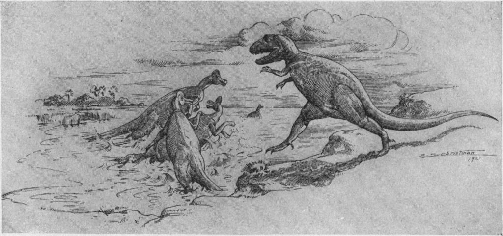 6 AMERICAN MUSEUM NOVITATES [No. 89 Fig. 3. Restoration of Gorgosaurus bv E. C. Christman, illustrating the pose of skeleton, Fig. 2. The animal is represented as chasing a small herd.