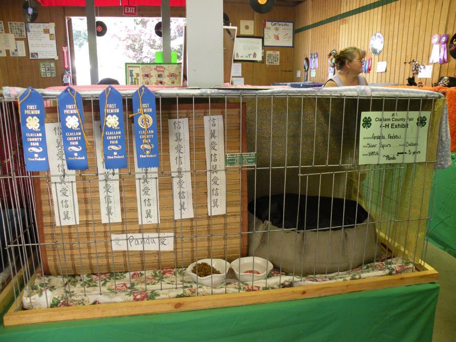 which cat is for Best in Show Cat Cage at the