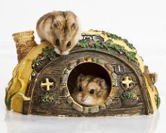 4. Hamsters Introduced about 70 years ago, hamsters have become one of the most popular small pets. Frisky and fun to watch, hamsters tend to sleep during the day and play at night.