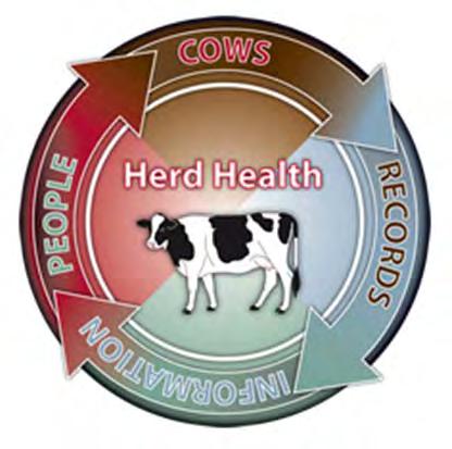recording practices for the major diseases of dairy cattle
