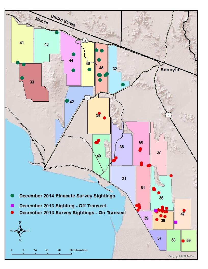 Aerial Surveys in Sonora (2015)