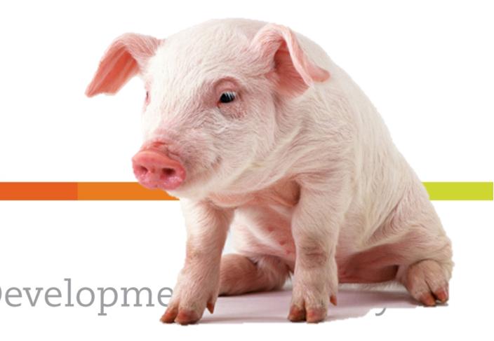 Introduction to WELPIG o Resistance to antibiotics (ABR) poses a major concern for human & animal health o Ireland has high usage of AB listed as NB for human health by WHO o In-feed antibiotics (AB)