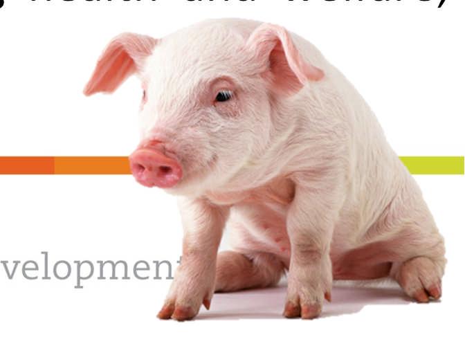 Introduction to PathSurvPigs o Respiratory disease is among the most NB infectious disease leading to production losses in the pig industry o Few Irish data available on associated pathogens,