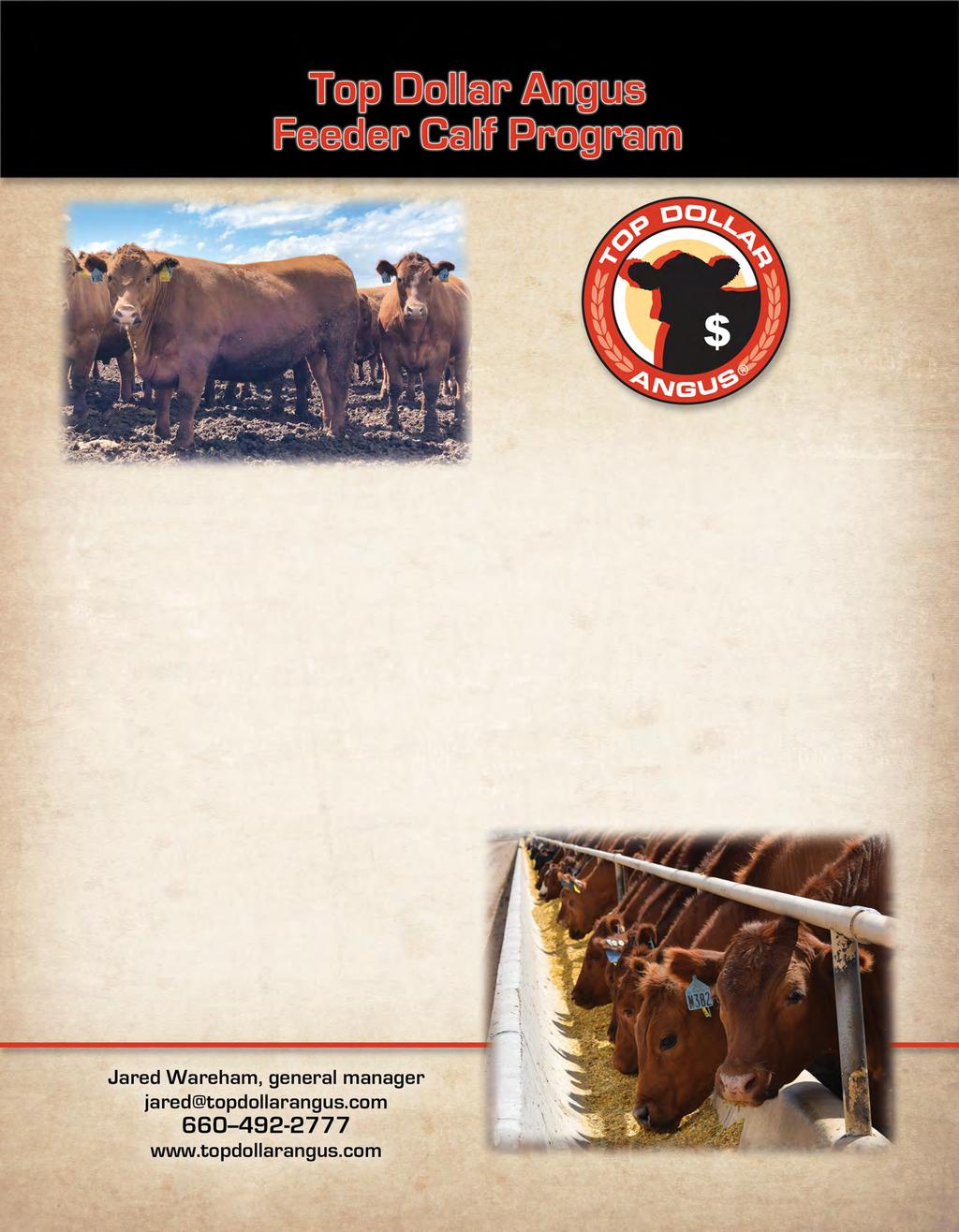Sale Information Top Dollar Angus is a genetic-certifi cation and marketing company focused exclusively on the top 25 percent of the industry in carcass and growth Angus and Red Angusinfl uenced