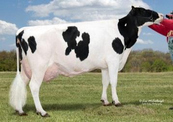 Accelerated & Select Sires want to talk to new owner. ABS contract. Alta Contract @$15K. Standard Semex Contract, options to be negotiated with new owner!
