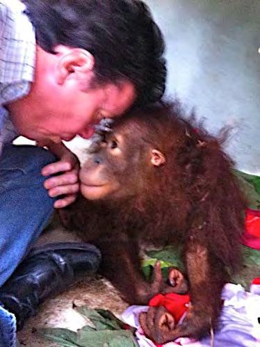 When I stop and talk about his treatment to the orangutan technicians something amazing happens!