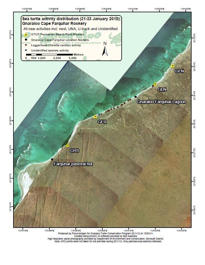 Map 2: New sea turtle activities recorded in the monitored