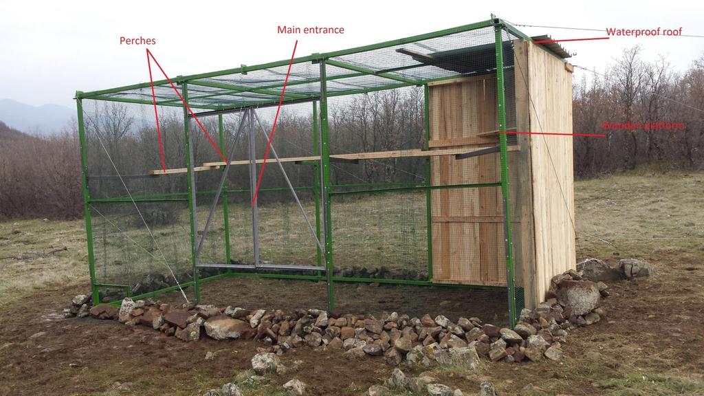 Fig. 1. Adaptation aviary for Egyptian Vultures with size 6/3/3m. Adaptation period Page Feeding. Everyday care and observations from a distance were conducted during the adaptation period.