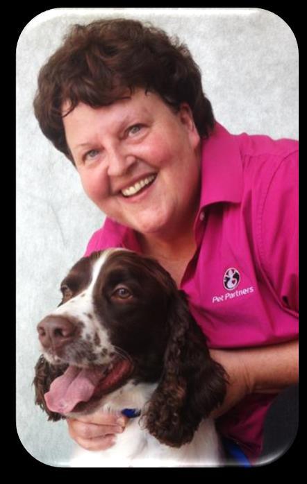 I had just lost my first Springer Spaniel Barkley in July 2010, and came across a picture on the English Springer Rescue site of a bonded pair of Springers, one