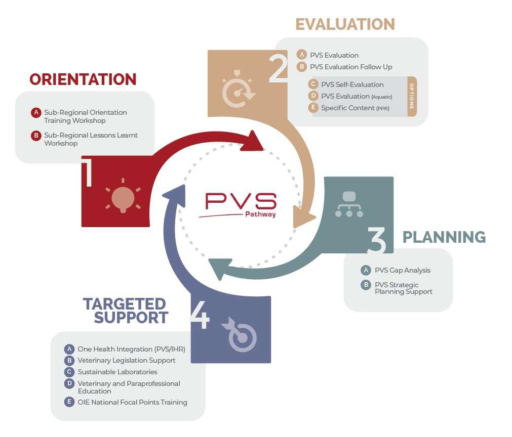 OIE PVS Pathway The OIE PVS Pathway is a continuous process to sustainably improve national