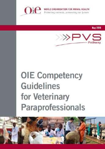 Veterinary paraprofessional competencies & curricula OIE ad hoc group on VPPs established in 2016 OIE Competency Guidelines for VPPs developed and published in 2018 3 tracks of VPPs recognized animal