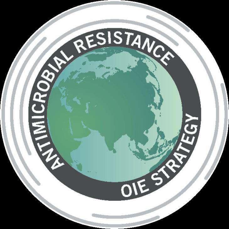 OIE Strategy on AMR and the