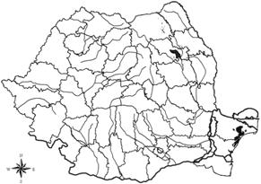 The herpetofauna of the Valea Neagra river basin 71 natrix). Amongst these, we have also identified hybrids between Bombina bombina and Bombina variegata. (tabel 1).