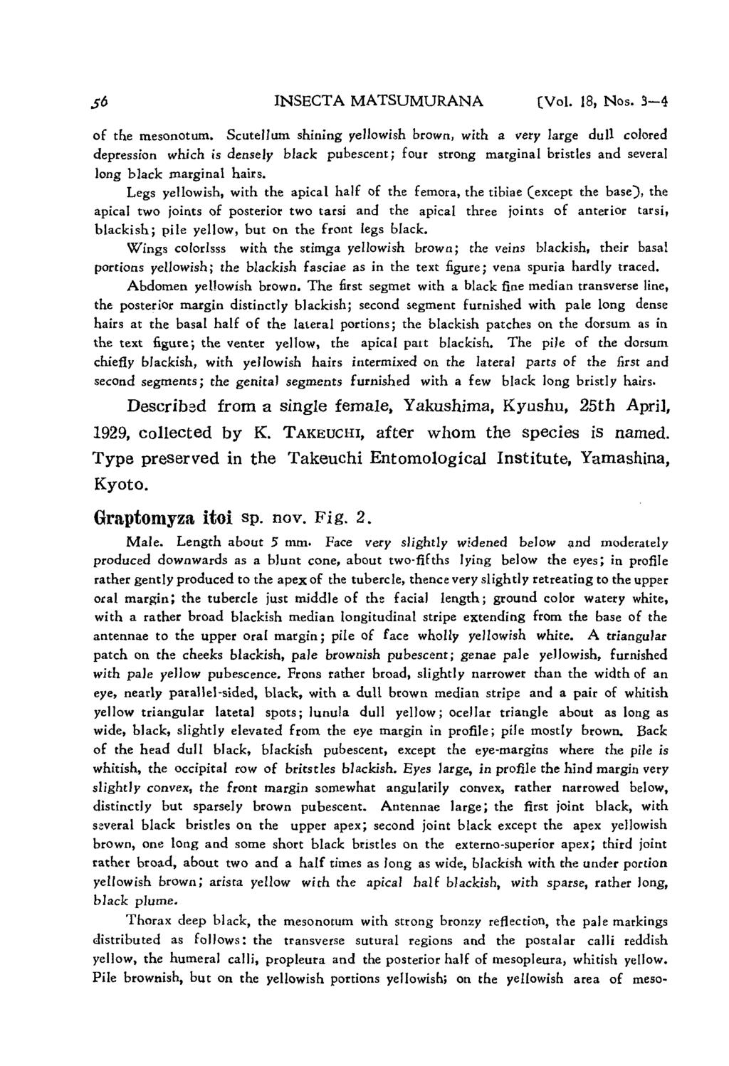 INSECTA MATSUMURANA (Vol. 18, Nos. 3-4 of the mesonotum.