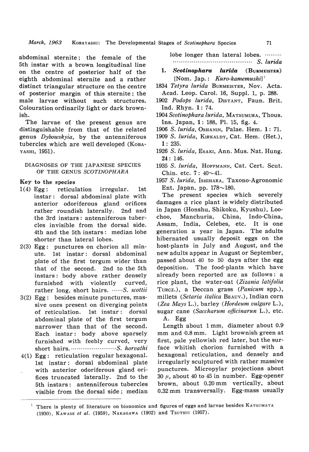 March, 1963 KOBAYASHI: The Developmental Stages of Scotinophara Species 71 abdominal sternite; the female of the 5th instar with a brown longitudinal line on the centre of posterior half of the
