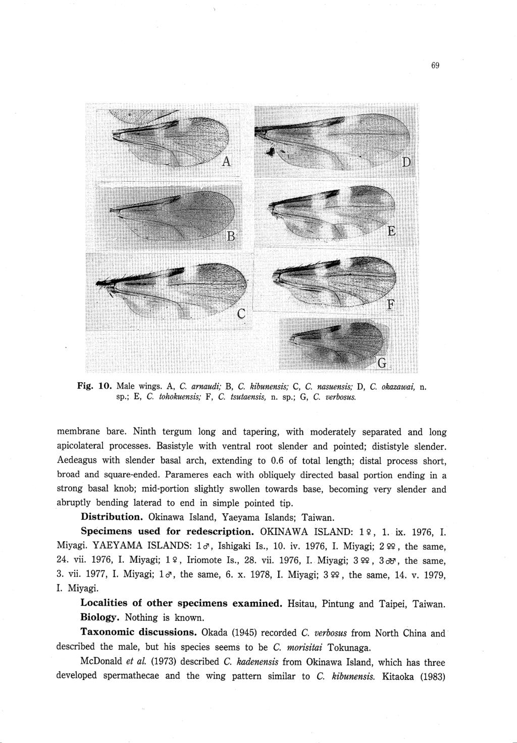 Fig. 10. Male wings. A, C. arnaudi; B, C. kibunensis; C, C. nasuensis; D, C. okazawai, n. sp.; E, C. tohokuensis; F, C. tsutaensis, n. sp.; G, C. verbosus. membrane bare.