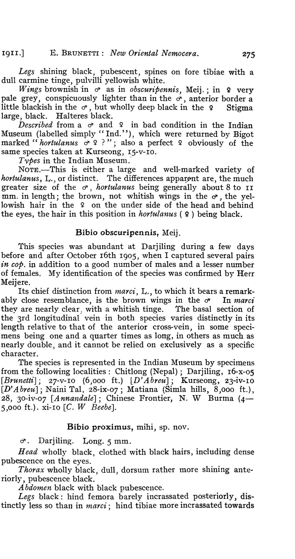1911.] E. BRUNETTI: New Oriental Nemocera. 275 Legs shining black, pubescent, spines on fore tibiae with a dull carmine tinge, pulvilli yellowish white.