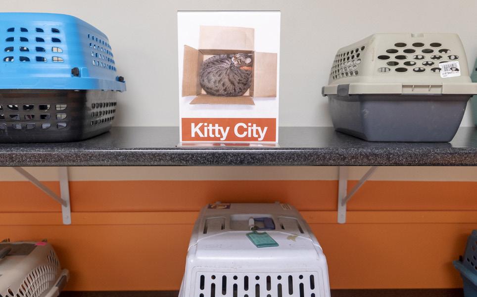 Cat & Small Animal Kennel Shield Safely restrain patients in kennels with a custom-fitted