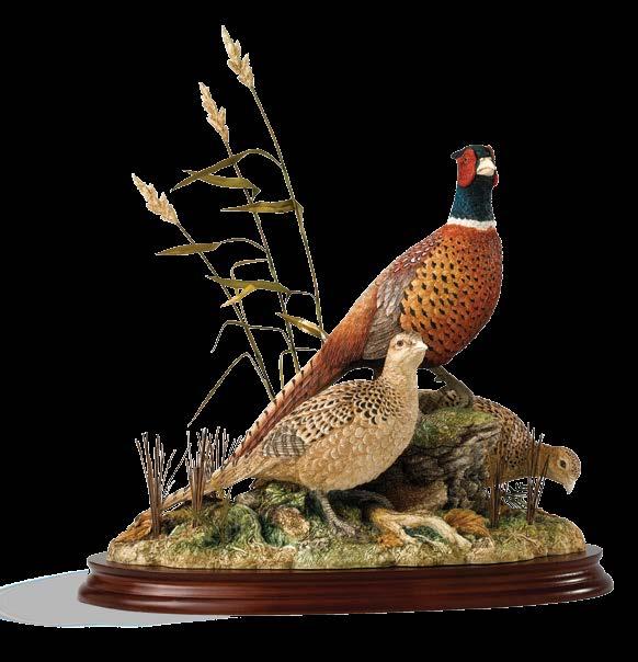 by the Romans, pheasants have graced our woodlands and large