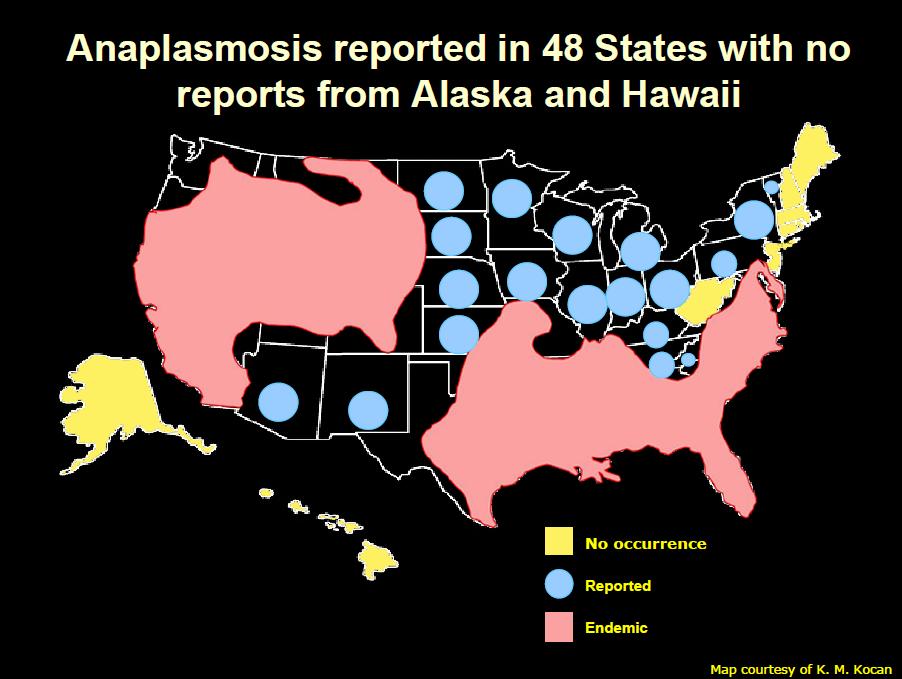 Anaplasmosis is reported