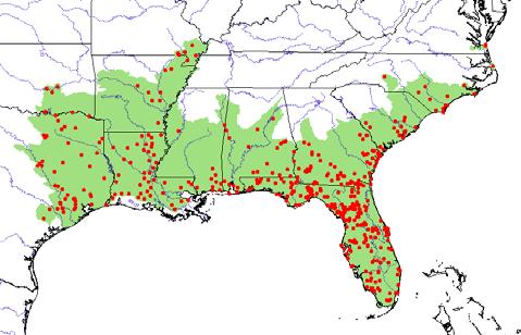 Emydidae Deirochelys reticularia 014.3 Figure 5. Distribution of Deirochelys reticularia in southeastern USA.