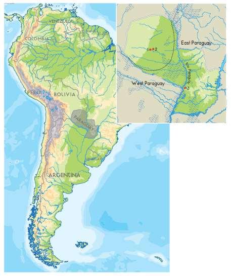 Charlton 3 Figure 3: Map South America depicting distribution of L. laticeps in Argentina denoted by (x)'s. (Heyer 1979).