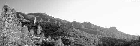 Pinnacles National Monument BEAR GULCH