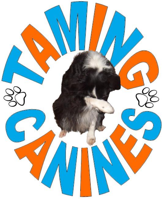 Taming Canines Halloween Show BAA Agility Competition Run to British Agility Association Rules Rings are fully fenced!