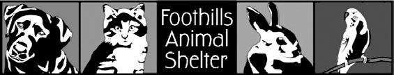The shelter is one of the largest in the Denver metro area, serving nearly 10,000 animals per year, according to its website.