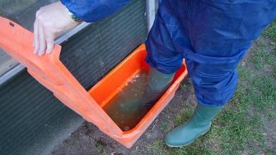 Farms set up footbaths to disinfect shoes and boots which prevent dieseases spreading amongst groups of animals 4. Sheds: What are the different types of shed?