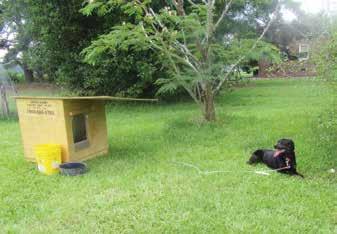 months to a shady spot with a new PETA doghouse,