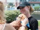 Our multishelter regional adoption event, Poochella, was a huge success, resulting in at least 16 adoptions!
