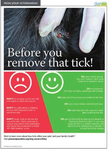 exactly what to do if they fi nd one. Dealing with ticks is a tricky business, especially if you know little to nothing about them.